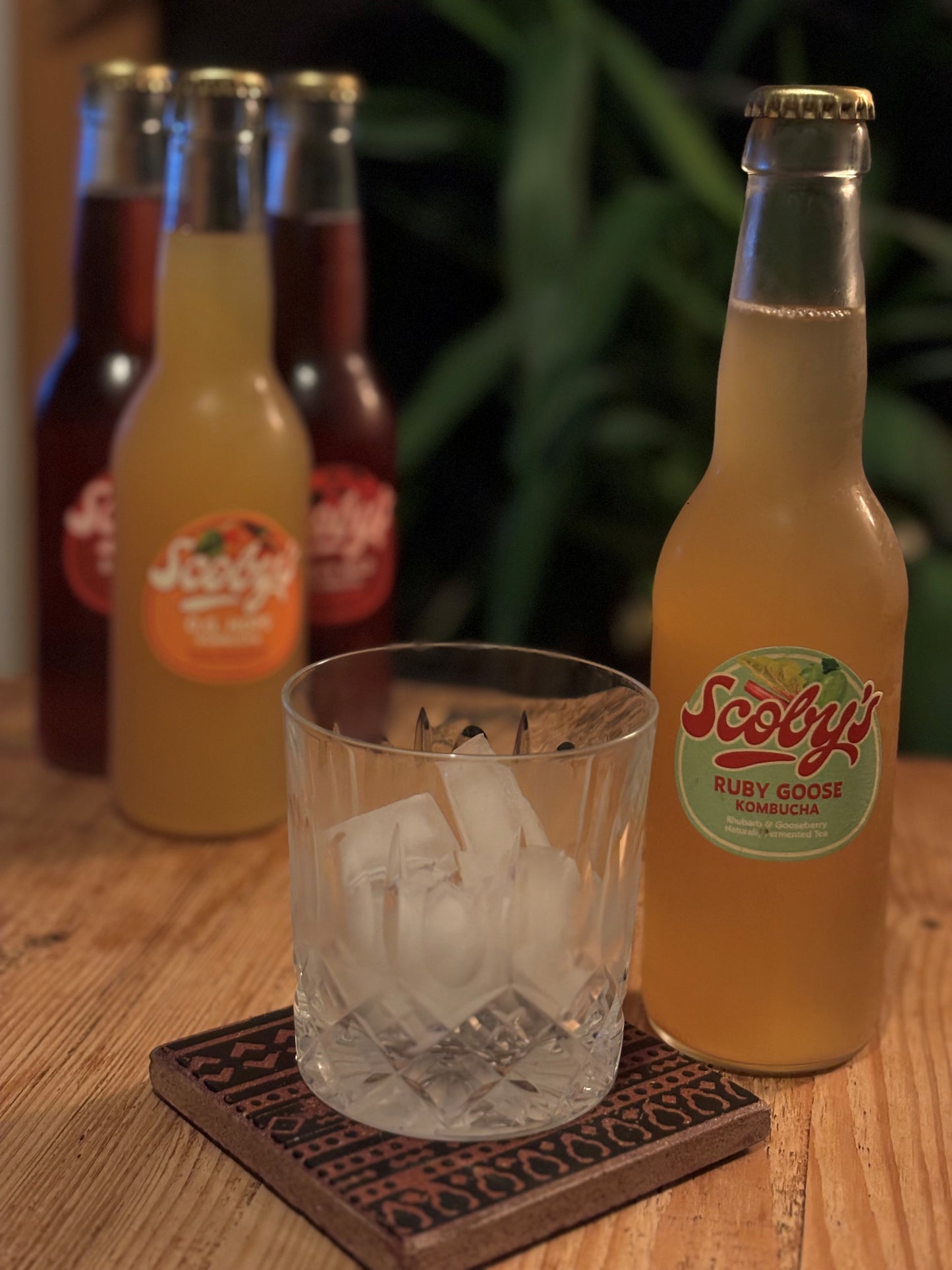 Ruby Goose 12pk